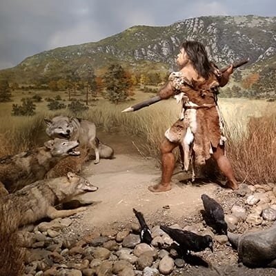 musée-tautavel chasseur de la préhistoire