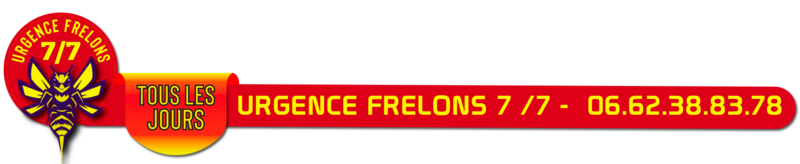 destructions frelons asiatiques