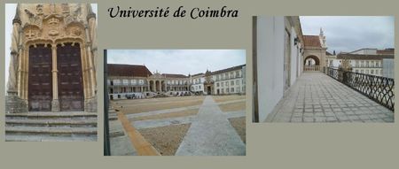 université