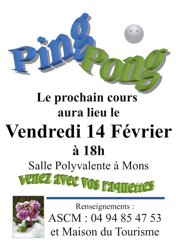 Affiche Ping Pong 14 février