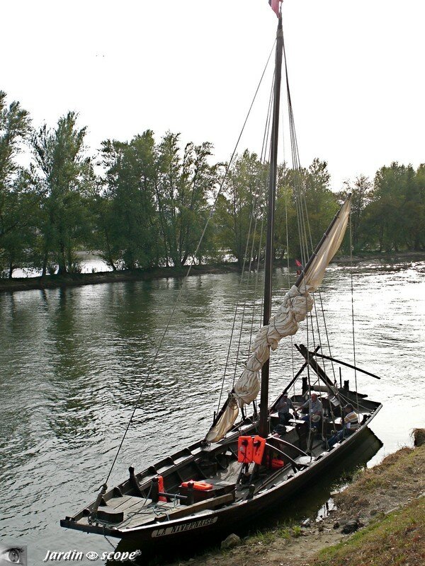 Futreau de Loire accosté à Orléans