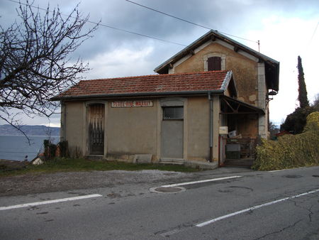 DSCF0737