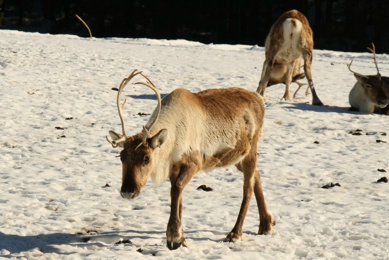 Parc nordique et balade 016