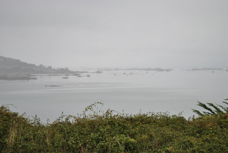 DSC_0183