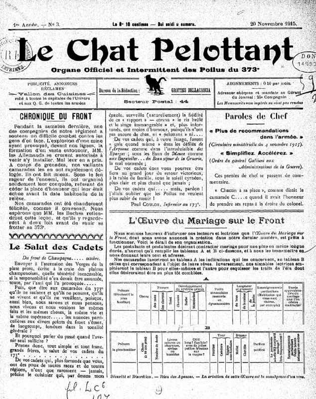 Le chat pelottant