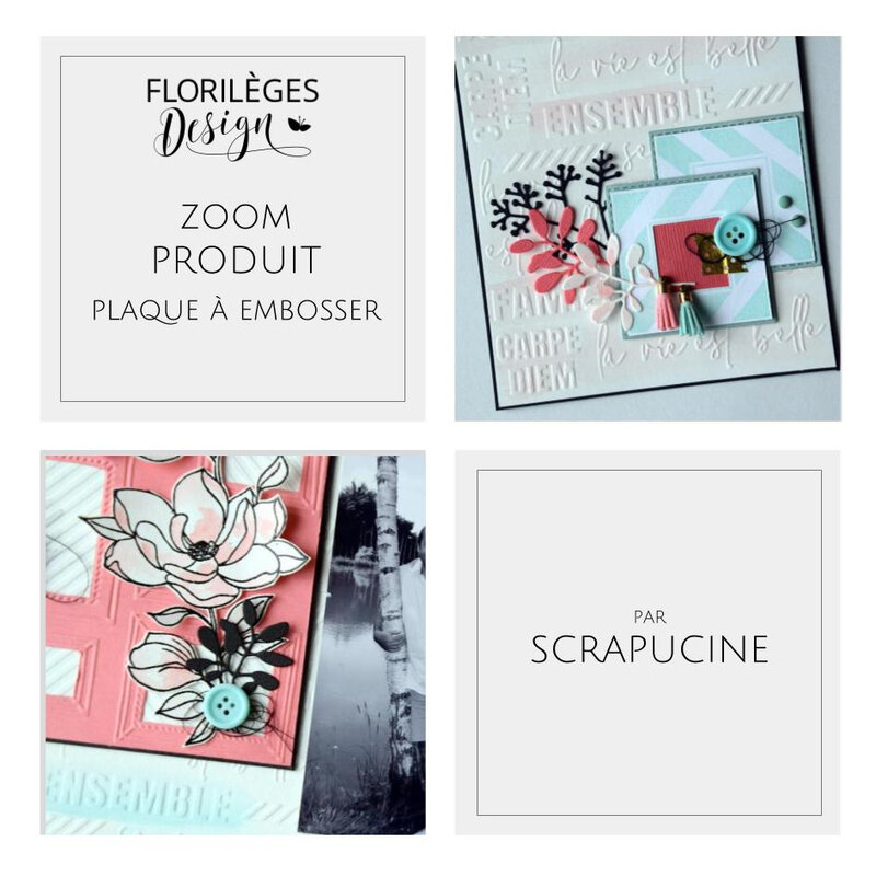 ZOOM PRODUIT SCRAPUCINE_1406