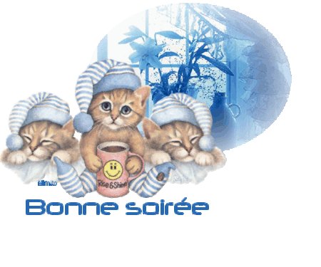bonne_soiree_chats_a4091b