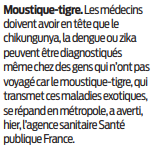 2020 09 16 SO moustique-tigre