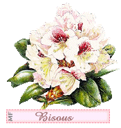 bisou_bouquet___BPat