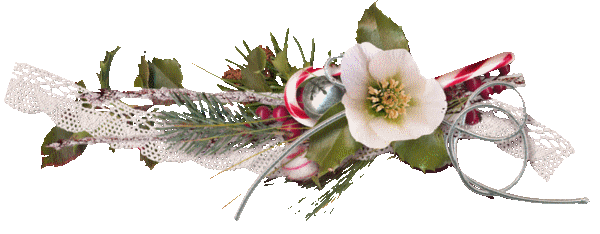 Gif Barre Noël Fleurs blanches feuillage et dentelle sucres d'orge 600 pixels