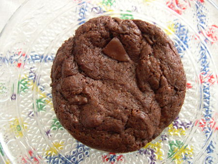 cookies_fort_en_chocolat_038