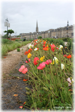 les_quais