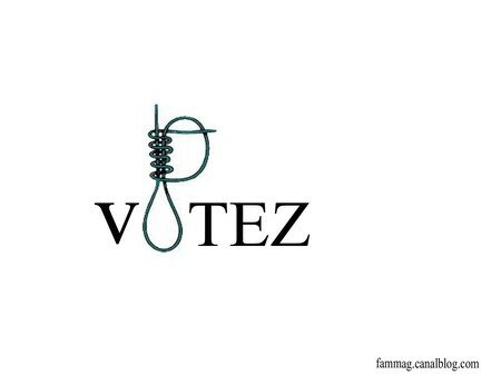 votez_copie