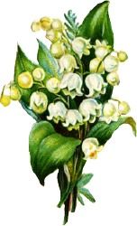 lily_of_the_valley_arrangement