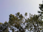 24052009_063