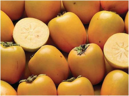kaki fruit blog chez requia