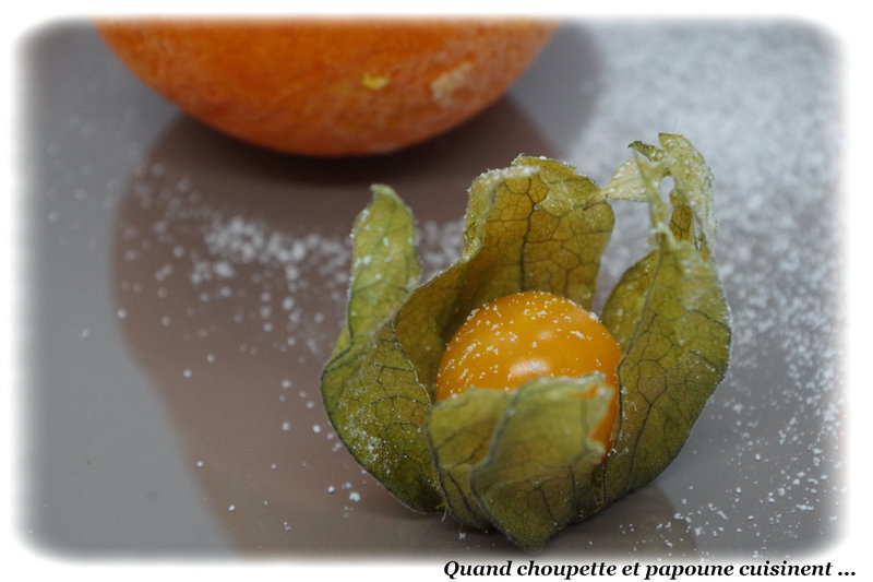 oranges givrées-8864