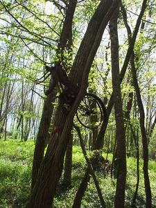110411_randonn_e_002