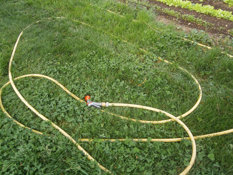 Un des tuyaux équipant le jardin