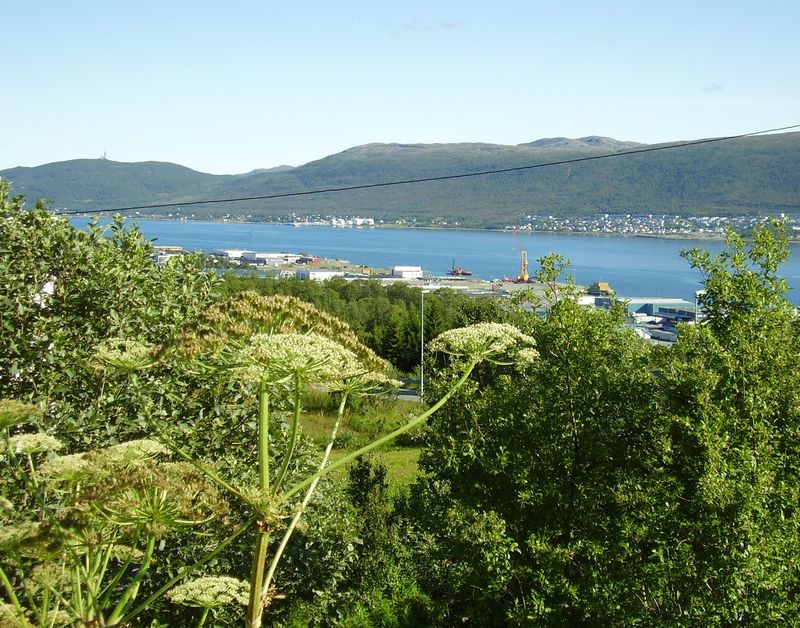 24-08-08 Sortie Vélo Tromso (060)