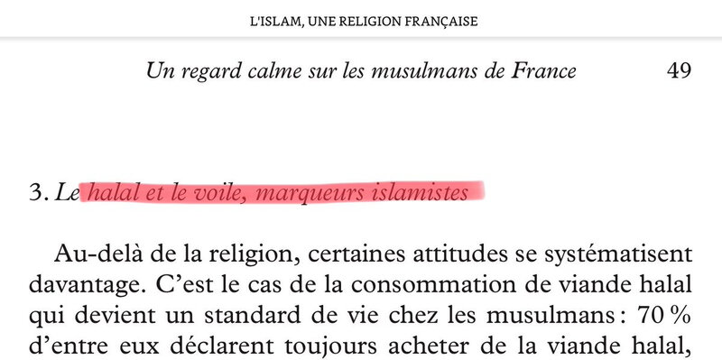 HakimElKarouiHalalVoileIslamiste