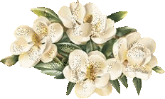 barre_4_fleurs