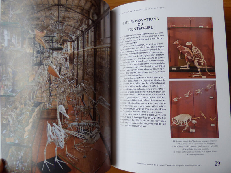 Galerie de paléontologie et d'anatomie comparée (1)