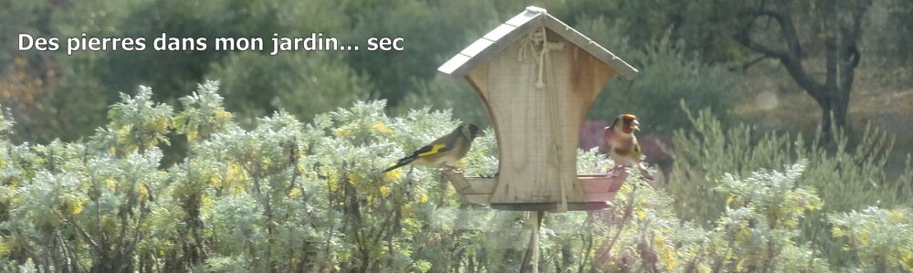 Des Pierres dans mon Jardin sec