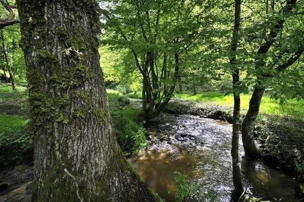 Corrèze nature