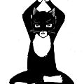Chat yoga 