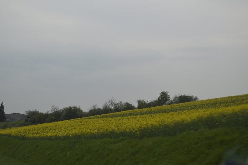 _DSC0028