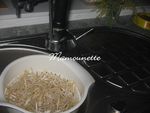 Magret_de_canard_au_miel_parfum__et_au_soja_frais_009