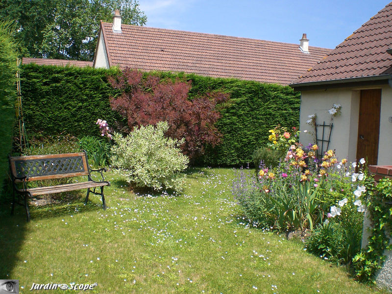 Banc dans mon jardin mai 2008