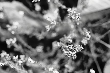 IMG_1418nb800ret
