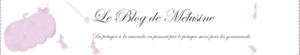 LE_BLOG_DE_MELUSINE