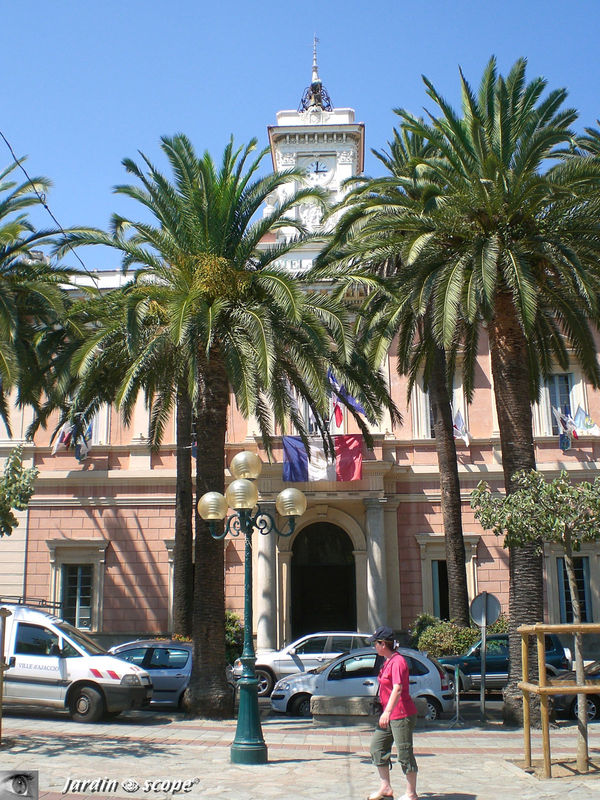 Hôtel de Ville et Salon Napoléonien à Ajaccio