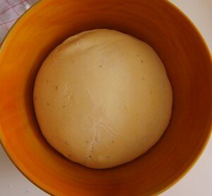 p_te_pizza_fine_levain_liquide