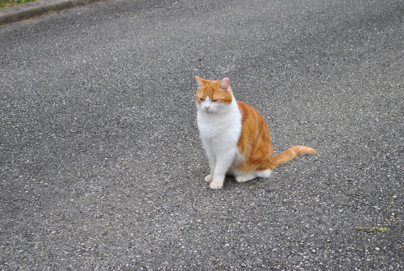 DSC_0014