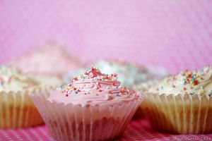 Assorted_Cupcakes_HA8V7488