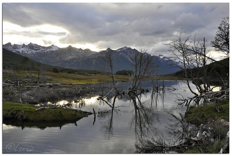 _Argentine_248_Ushuaia_parc_national