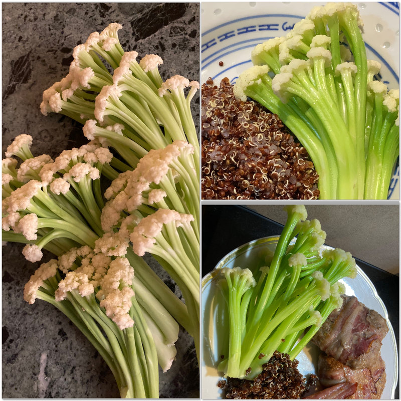 4F37D822-A667-4F48-987D-81ABD32A8240