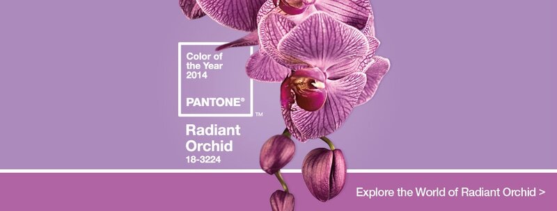 radiant_orchid_HomeSlider_Final