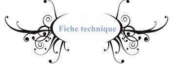 Fiche Technique