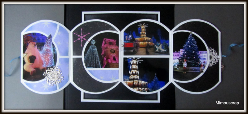 2020 Mons 006 jardin hiver