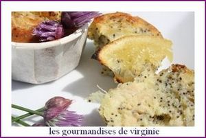 Muffins_poulet__coco__citron_confit___pavot_Les_gourmandises_de_Virginie