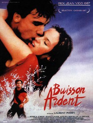 buissonardent