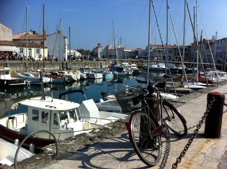 Ile de Re mars 2012 381