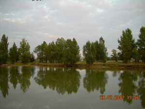 DAMIATTE_2007_007