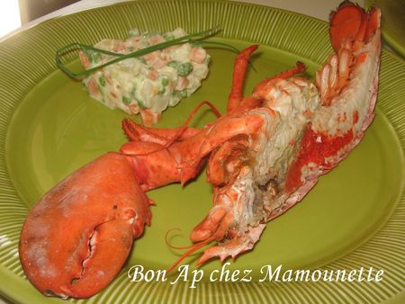 F_te_des_m_res_dimanche_7_juin_2009_avec_Sab_bonapchezMamoun018
