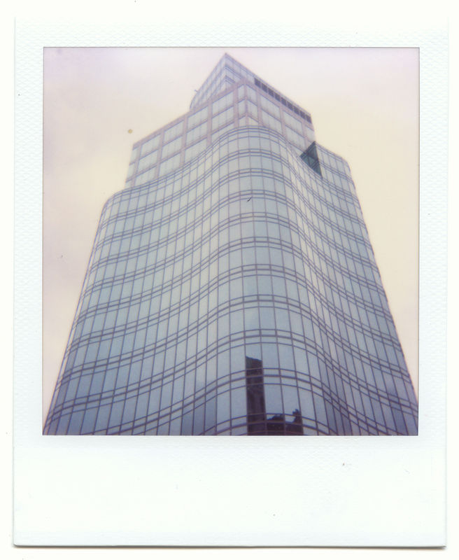 dolphin's building